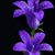 Maria Elena Lozano Galindo's profile image