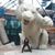 Corine Avery's profile image