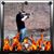 Kevin Kafora's profile image