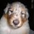 Joan Richard's profile image