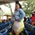 Rotan Rotan's profile image