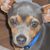Sally Murray's profile image