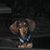 Cynthia Nack's profile image