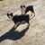 Ashleigh Vitt's profile image