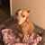 Michelle Mack Carr's profile image