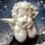 Judy Glover's profile image