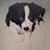 Tim Kilb's profile image