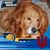 Jean Brown's profile image