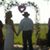 Allen N Jackie Whitaker's profile image