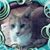 Kim North-Chapman's profile image