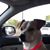 Kara Barnette Dutton's profile image