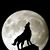 Lobo Solo's profile image