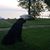 Cortney Cashin Koffarnus's profile image