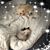 Stephanie Sheehy's profile image