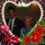 Linda Cannon's profile image