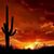 Theresa Johnson Heier's profile image