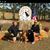 Trish Jagoda's profile image