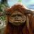 Bill Reeves's profile image