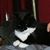 Kathy Reed's profile image