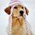 Jennifer Davis's profile image