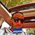 Edward Suares's profile image