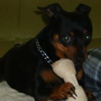 Patty Blevins's profile image