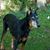 Tammy Foster Stewart's profile image