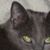 Beth Vandiver's profile image