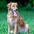 D Lynn Burke's profile image
