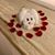 Dianna Antonovich Funk's profile image