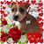 Geraldine Minto's profile image