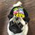 Chris Herrington's profile image