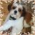 Linda Glowinski's profile image