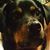 Bill Spies's profile image