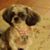 Julie Robinson's profile image