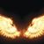 Felipe Alvarez's profile image