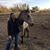 Chris DeBrot's profile image