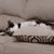 Jerica LaPine's profile image