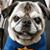 Coty de Bijou's profile image