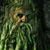 Bill Rauscher's profile image