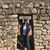 Jorge Davila's profile image