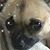 Tealia Houghton's profile image