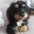 Britta Grapenthin's profile image