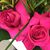 Juliet Chavarria's profile image