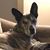 Cyndee Abler's profile image