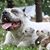 Diane Zdrojowy Binette's profile image