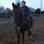 Donna Walborn's profile image