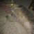 Jennifer Eick Olesen's profile image