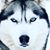 Ghingher Baur Erickson's profile image