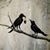 Birte Nielsen's profile image